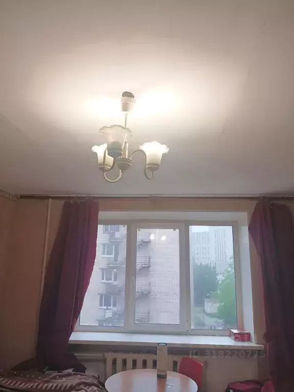 Студия Санкт-Петербург ул. Нахимова, 1 (25.0 м) - Фото 0
