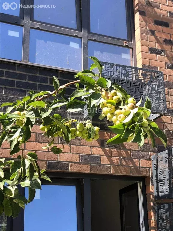 1-комнатная квартира: Майкоп, улица К.А. Васильева, 1 (33.4 м) - Фото 1