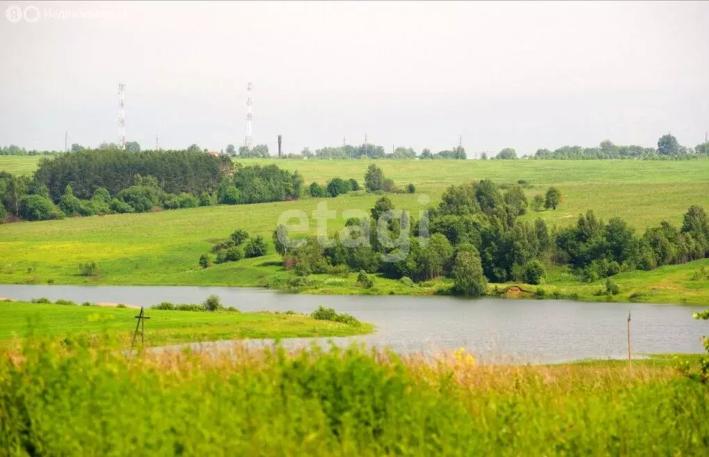 Участок в Владимирская область, Юрьев-Польский муниципальный округ, ... - Фото 2
