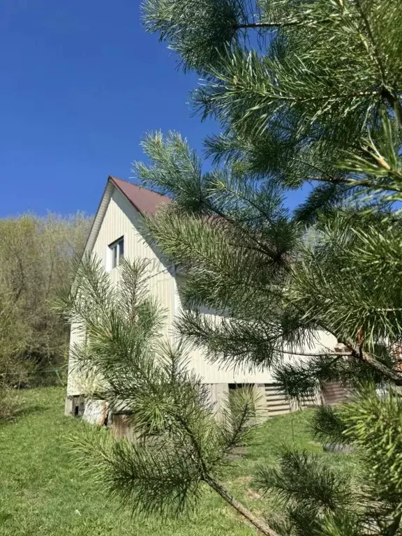 Дом в Алтай, Горно-Алтайск ул. Павла Кучияк (90 м) - Фото 2