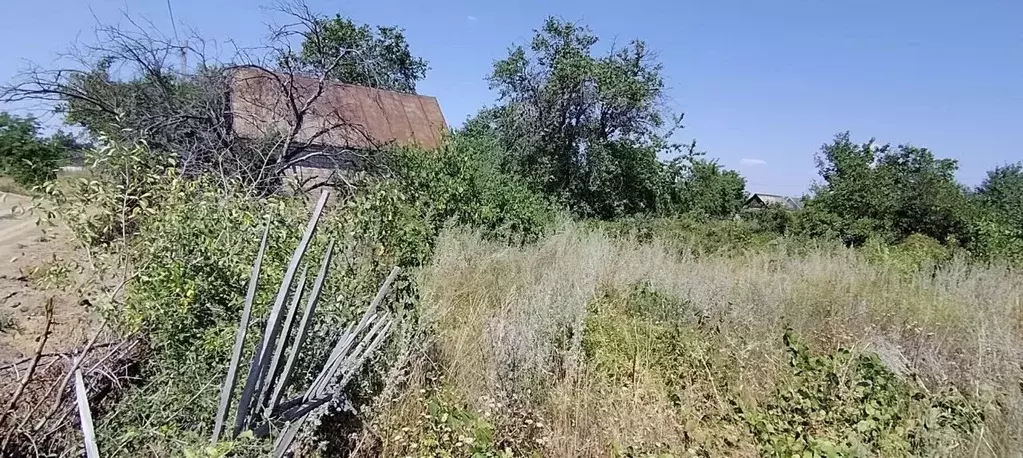 Участок в Волгоградская область, Волгоград ул. Шурухина (6.19 сот.) - Фото 2