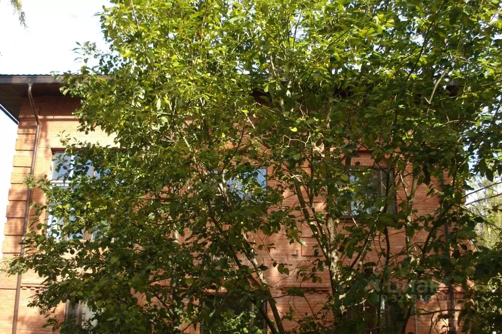 Дом в Санкт-Петербург, Санкт-Петербург, Петергоф ул. Беловой (260 м) - Фото 0