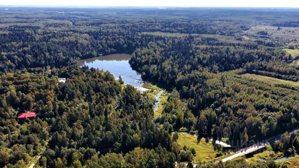 Участок в Московская область, Дмитровский муниципальный округ, д. ... - Фото 2