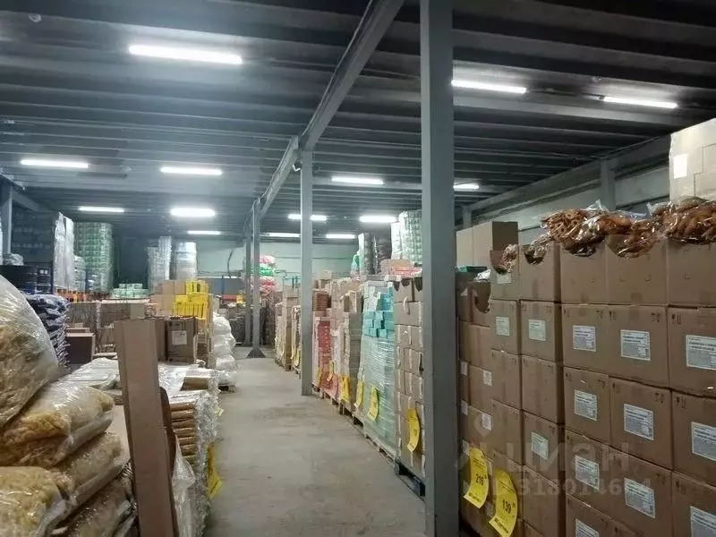 Склад в Нижегородская область, Нижний Новгород ул. Марата, 51 (1420 м) - Фото 0