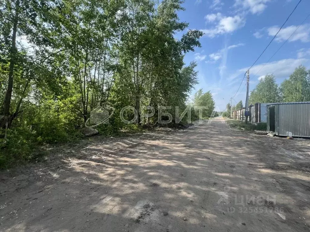 Участок в Тюменская область, Тюмень Звенящие Кедры Тюмени ДНП,  (60.0 ... - Фото 2