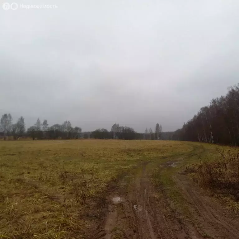 Участок в Московская область, городской округ Серпухов (10 м) - Фото 1
