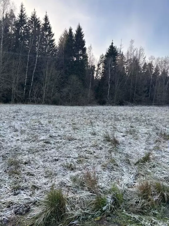 Участок в Московская область, Ступино городской округ, с. Хатунь ул. ... - Фото 0