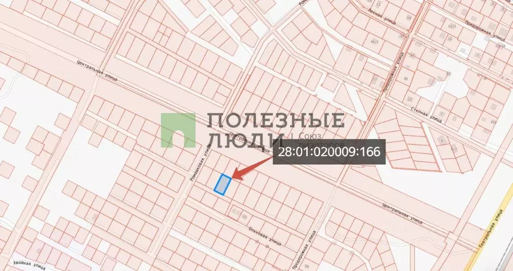 Участок в Амурская область, Благовещенск Центральная ул. (9.7 сот.) - Фото 0