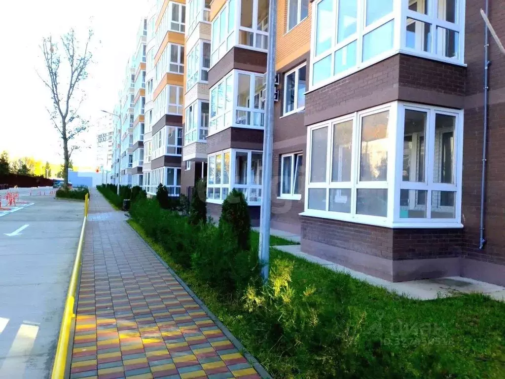 Студия Краснодарский край, Анапа Пионерский просп., 274Б (23.9 м) - Фото 1