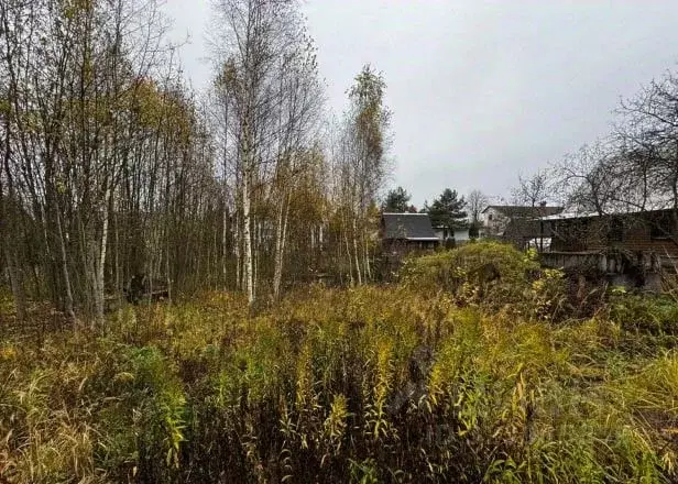 Участок в Московская область, Солнечногорск городской округ, Поварово ... - Фото 1