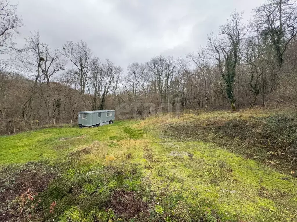 Участок в Краснодарский край, Геленджик городской округ, Широкая Щель ... - Фото 1