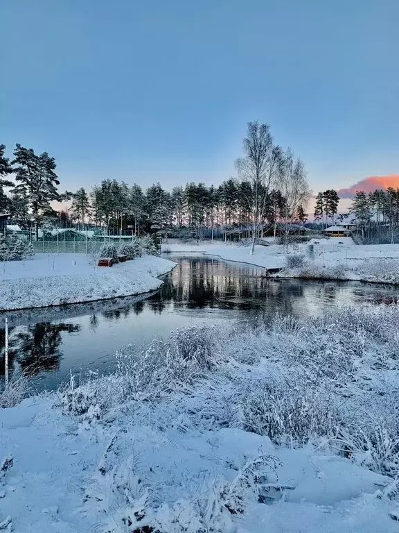 Участок в Ленинградская область, Выборгский район, Первомайское с/пос, ... - Фото 1