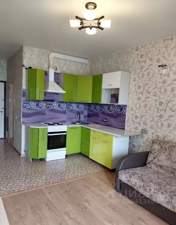 Студия Московская область, Солнечногорск городской округ, Голубое пгт ... - Фото 1