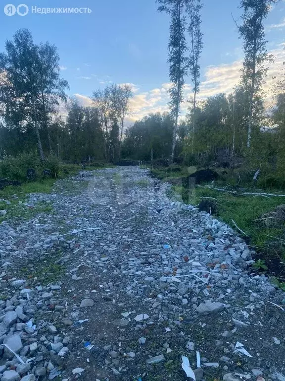 Участок в Кемеровский муниципальный округ, село Берёзово (10 м) - Фото 1