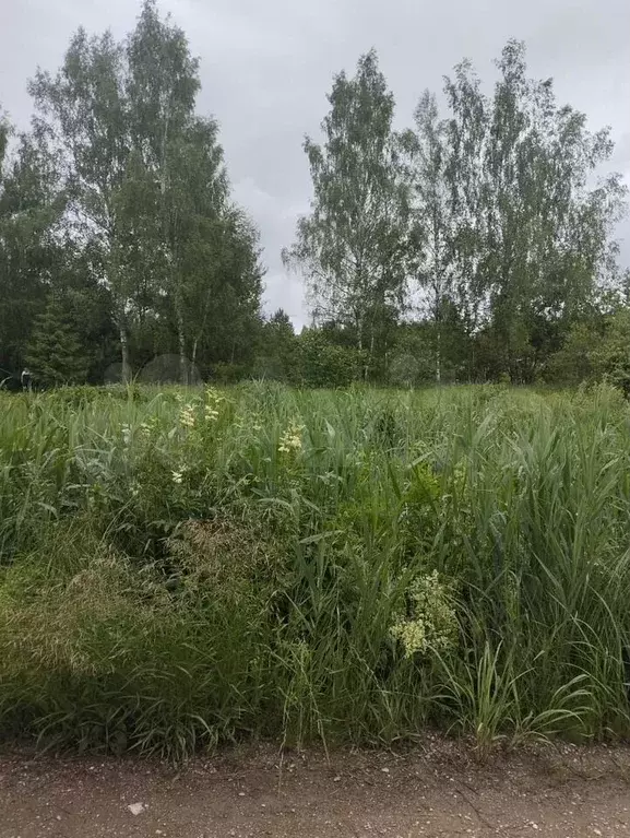 Участок 10 сот. (СНТ, ДНП) - Фото 1