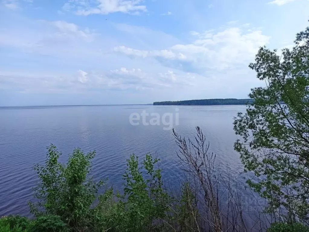 Участок в Нижегородская область, Чкаловск городской округ, д. Губцево  ... - Фото 0