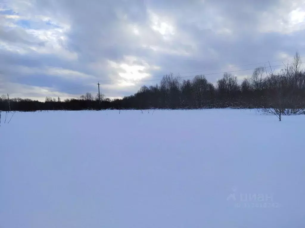 Участок в Ленинградская область, Волховский район, Вындиноостровское ... - Фото 1