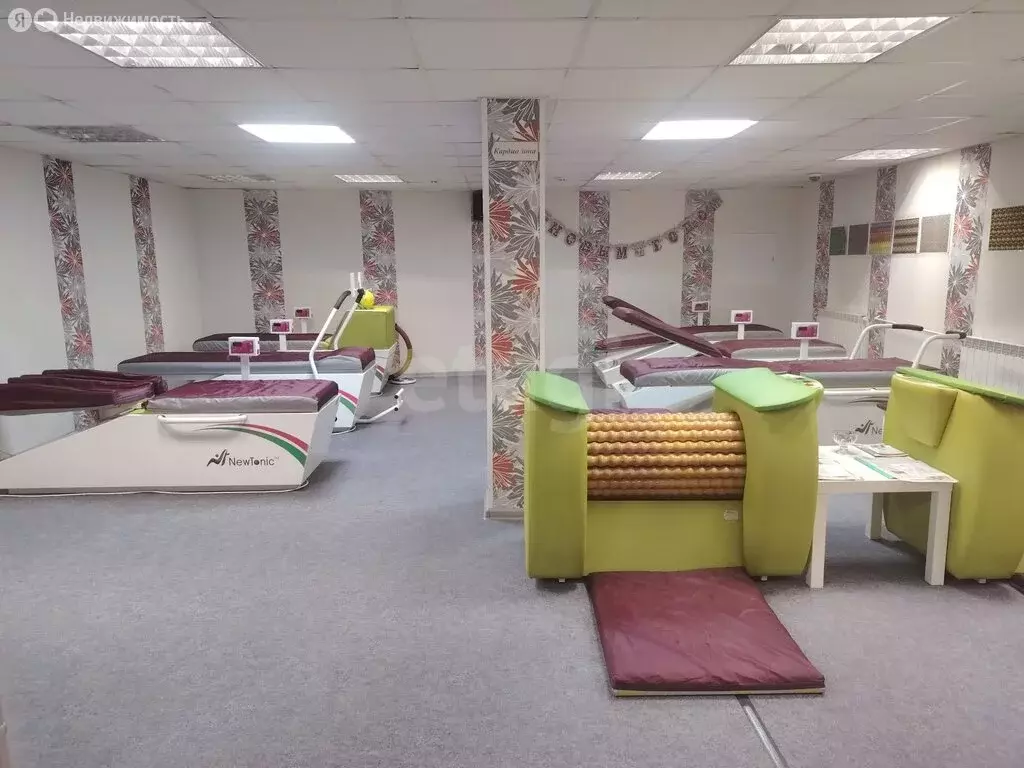 Помещение свободного назначения (245 м) - Фото 2