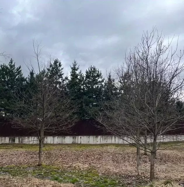 Участок в Московская область, Химки Клязьма-Старбеево мкр, Вашутино ... - Фото 1