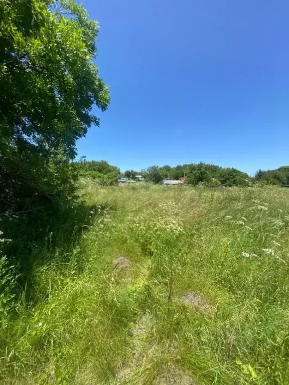 Участок в Ставропольский край, Предгорный муниципальный округ, ... - Фото 0