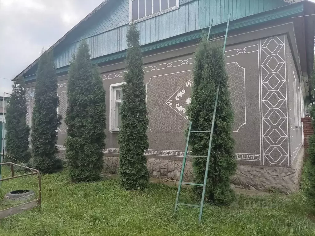 Дом в Тамбовская область, Сосновский муниципальный округ, с. ... - Фото 2