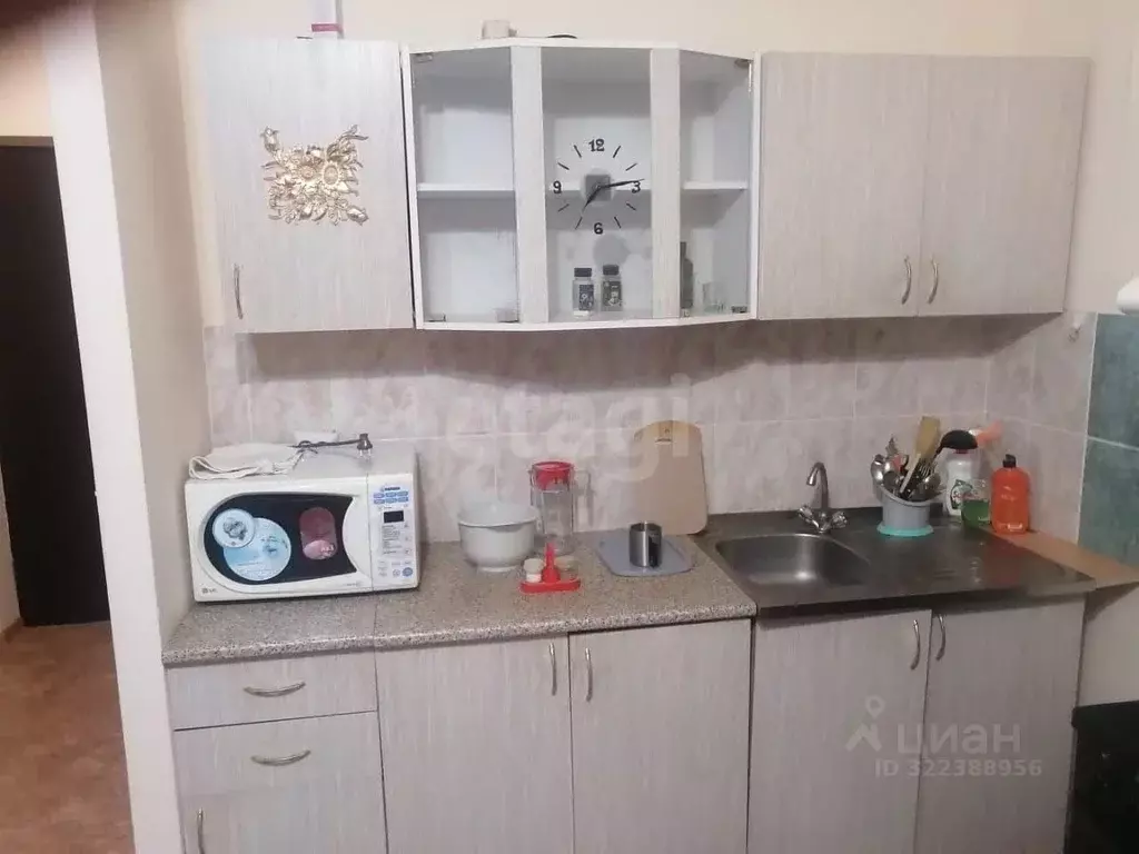 Студия Ямало-Ненецкий АО, Муравленко ул. 70 лет Октября, 41 (25.1 м) - Фото 2