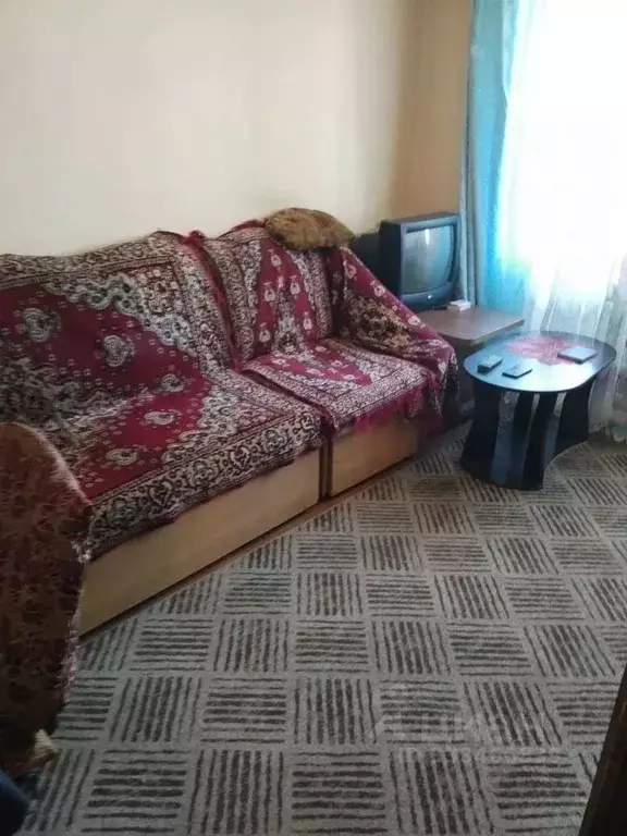 1-к кв. Новосибирская область, Искитим Центральная ул., 20 (22.0 м) - Фото 1
