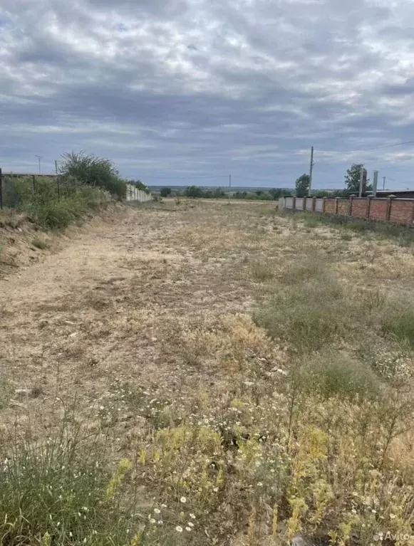 Участок в Ростовская область, Белокалитвинский район, Нижнепоповское ... - Фото 1