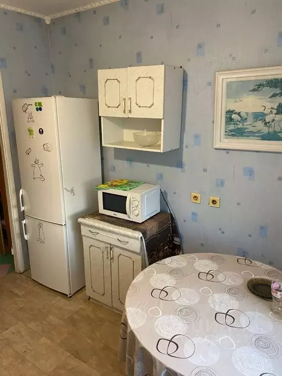 2-к кв. Челябинская область, Челябинск ул. Островского, 36 (51.0 м) - Фото 2