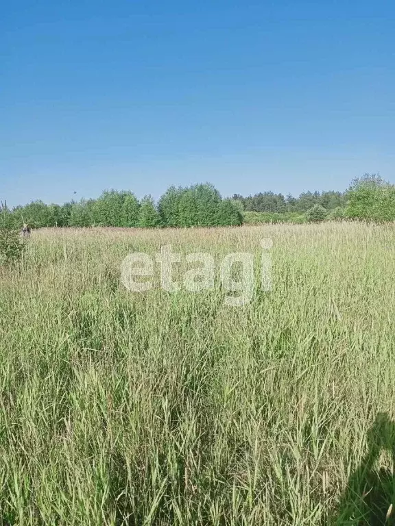 Купить Землю Сельхозназначения В Вологодской Области