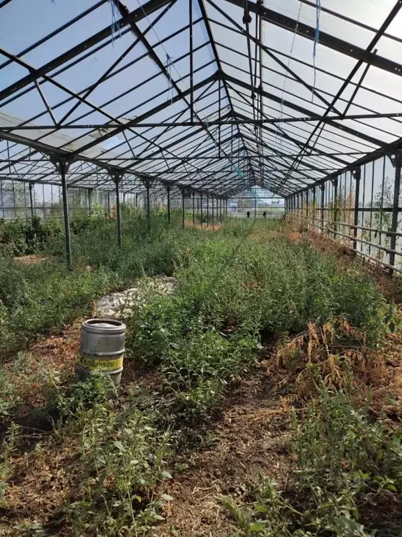 Производственное помещение в Адыгея, Красногвардейский район, ... - Фото 1