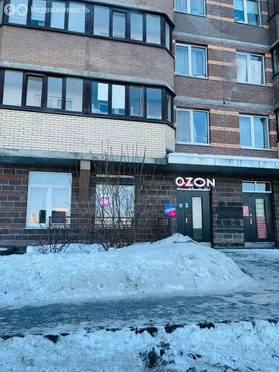 Квартира-студия: Мурино, Воронцовский бульвар, 17 (22 м) - Фото 2