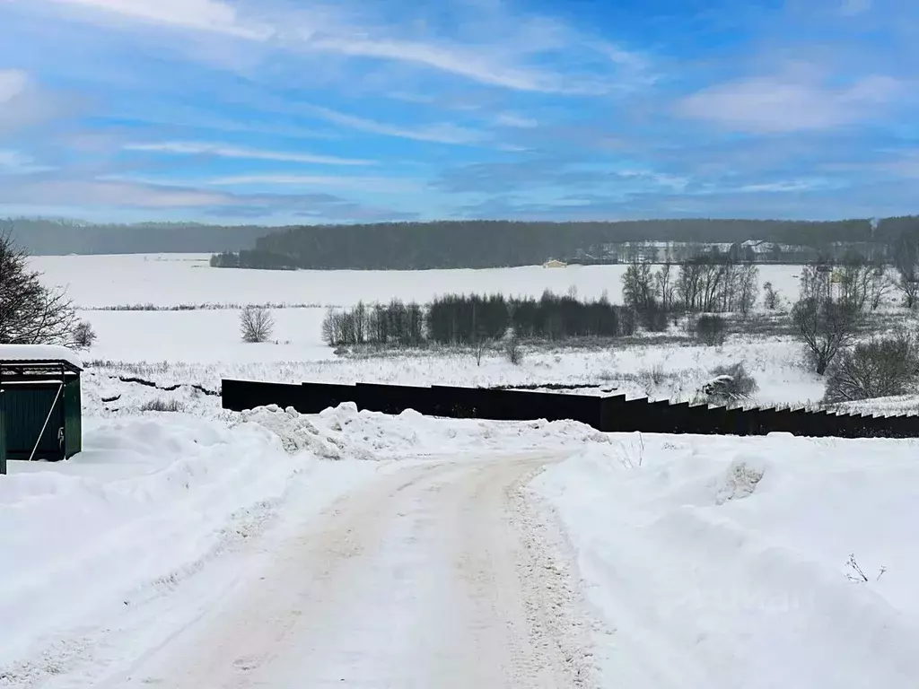 Участок в Московская область, Раменский муниципальный округ, с. ... - Фото 2
