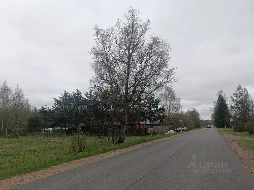 Участок в Новгородская область, Новгородский район, Савинское с/пос, ... - Фото 1