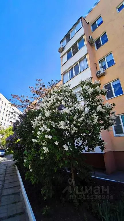 1-к кв. Ростовская область, Волгодонск ул. Академика Королева (35.3 м) - Фото 1