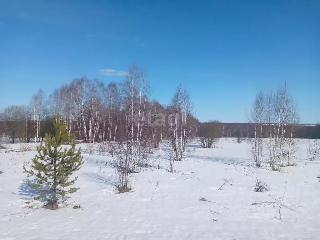 Участок в Нижегородская область, Дальнеконстантиновский муниципальный ... - Фото 1