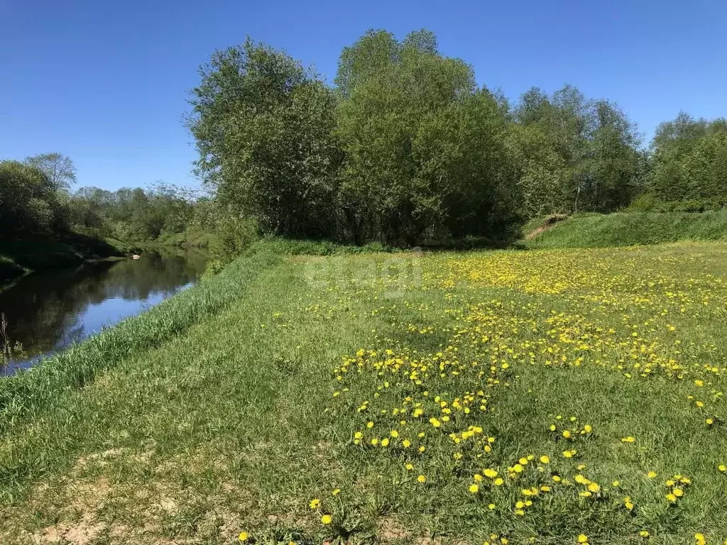 Участок в Ленинградская область, Киришский район, Пчевжинское с/пос, ... - Фото 1