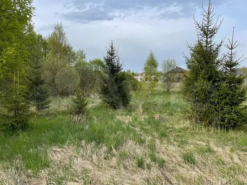 Участок 12,5 сот. (ИЖС) - Фото 1