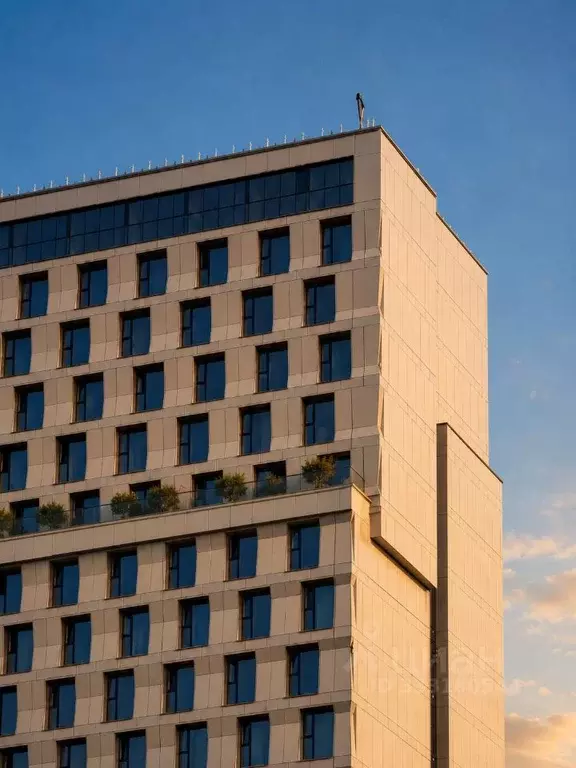 Студия Санкт-Петербург Ленинский просп., 153 (27.0 м) - Фото 2