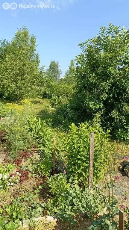 Дом в Чажемто, Гоголевская улица, 14 (100 м) - Фото 0