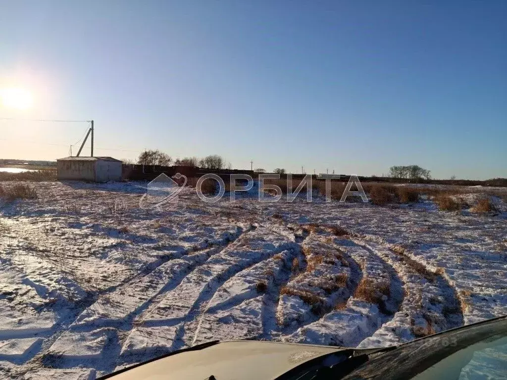 Участок в Тюменская область, Ишимский муниципальный округ, с. ... - Фото 1