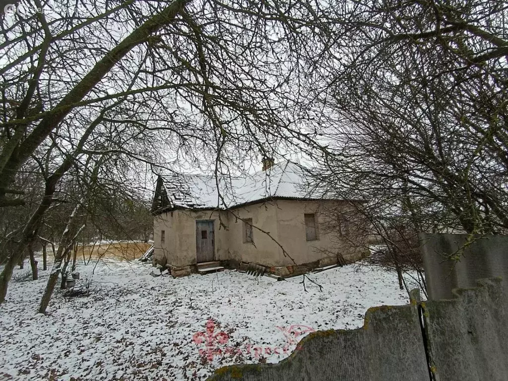 Участок в село Беломестное, Зелёная улица, 8 (15 м) - Фото 1