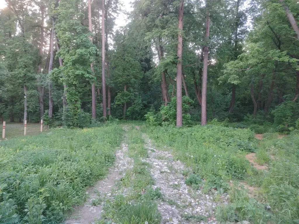 Участок в Московская область, Щелково городской округ, д. Соколово, ... - Фото 1