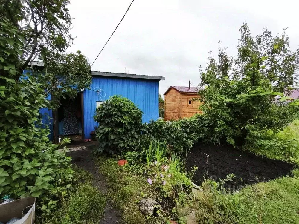 Дом в Омская область, Омск ул. Ленина (14 м) - Фото 0