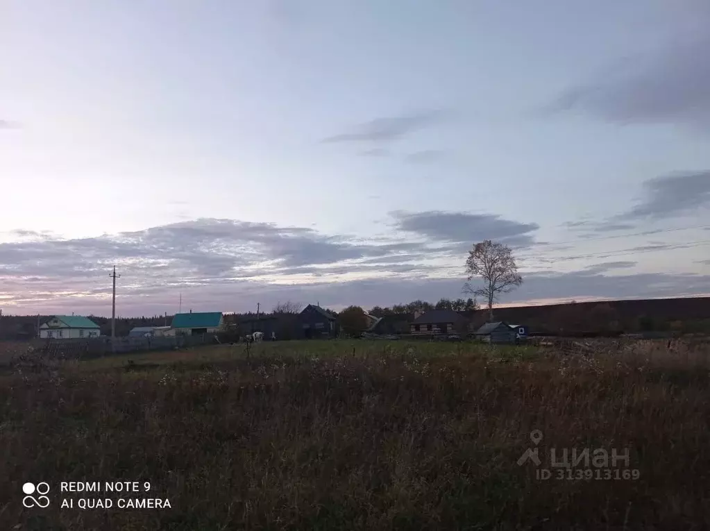 Участок в Башкортостан, Татышлинский район, с. Верхние Татышлы  (10.0 ... - Фото 0