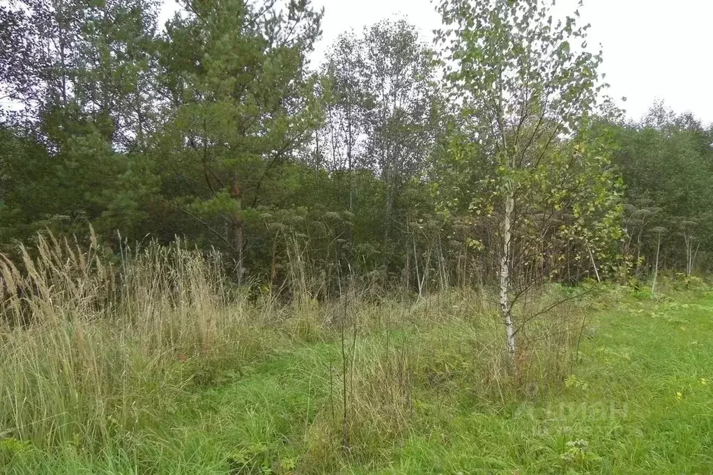 Участок в Нижегородская область, Лысковский район, с. Сельская Маза ... - Фото 1