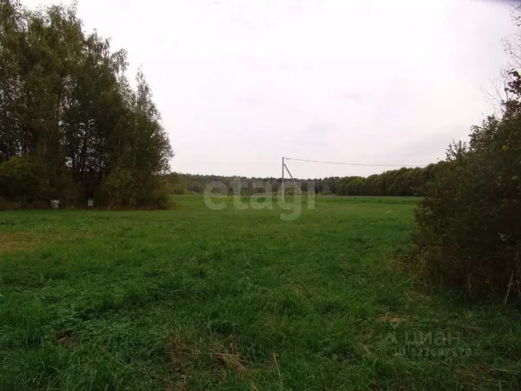 Участок в Калужская область, Боровский муниципальный округ, ... - Фото 2