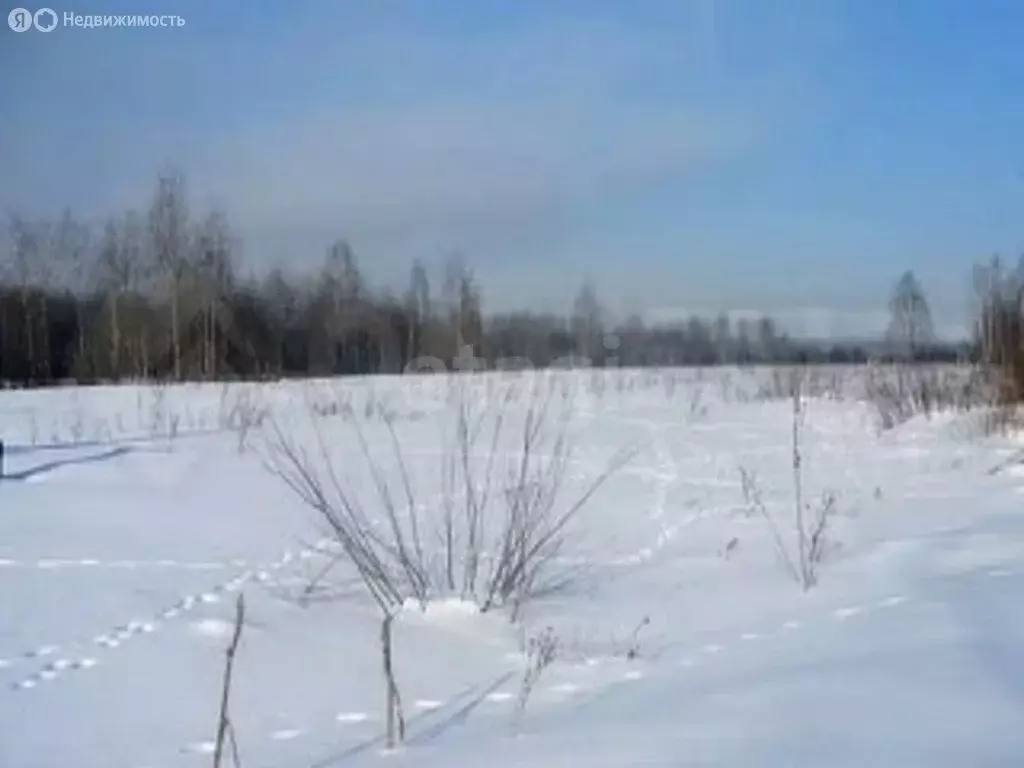 Участок в Казань, садоводческое некоммерческое товарищество Сад № 2 ... - Фото 1