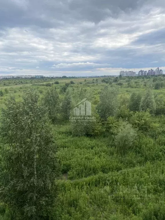 Студия Калининградская область, Гурьевский муниципальный округ, пос. ... - Фото 1