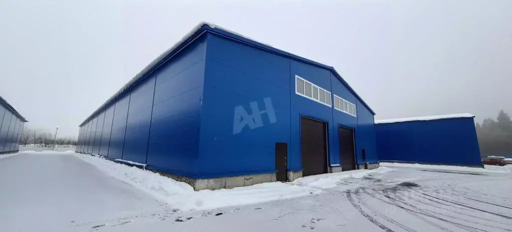 Склад в Московская область, Пушкинский городской округ, д. Талицы 58 ... - Фото 2